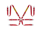 Sabelt Silver Rally 2x2 6-Point Racing Harness – product detail – photo 1