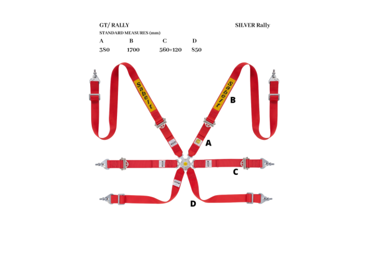 Sabelt Silver Rally 2x2 6-Point Racing Harness – product detail – photo 2