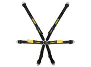Schroth Enduro 2x2 6-Point Racing Harness – product detail – photo 2