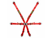 Schroth Flexi 2x2 6-Point Racing Harness – Red – photo 6